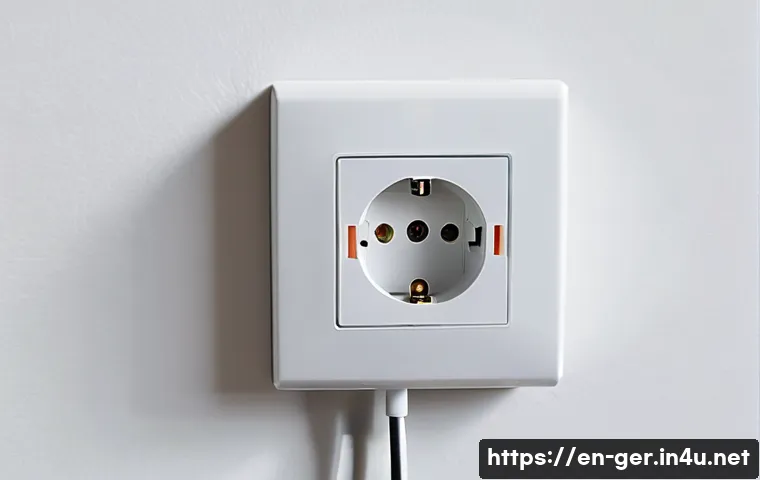 독일에서 전자제품 구매 시 고려할 점 - A detailed close-up image of a modern German Type F electrical outlet with two round pins and ground...